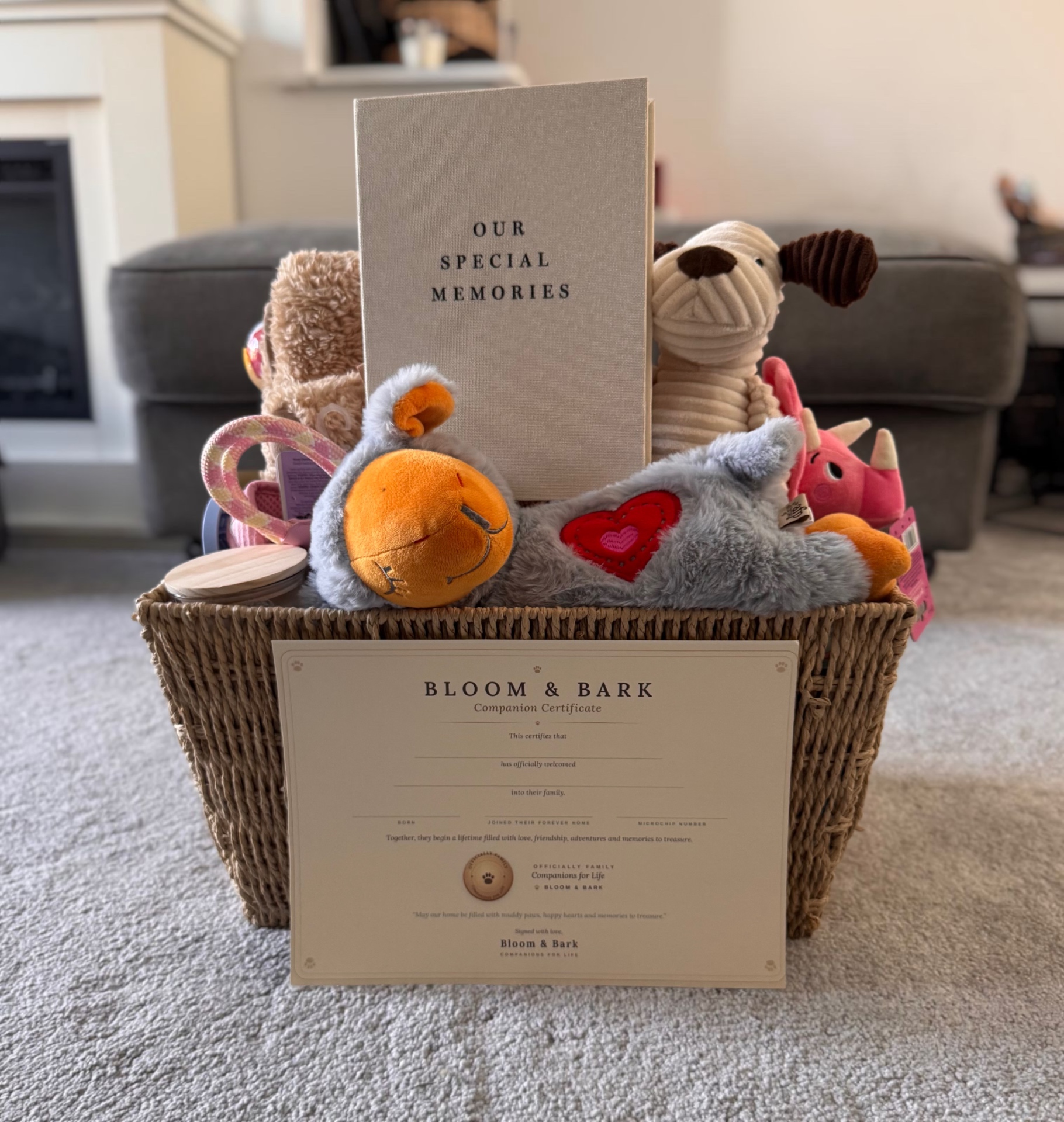 The Bloom & Bark Puppy Pack basket, filled with toys, memory book and Companion Certificate